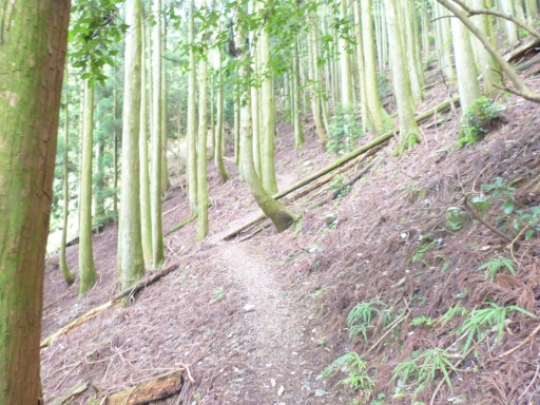 画像10